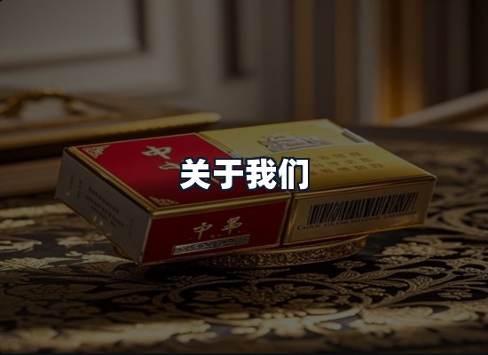 关于我们
